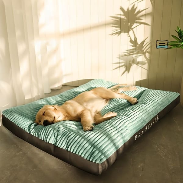 The Lounge Mat lifestyle