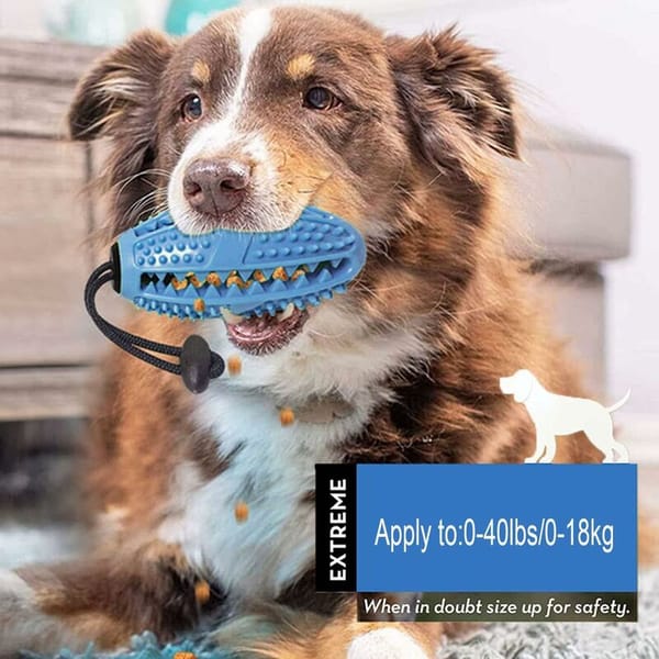 The Tough Chew