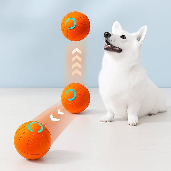 The Roll & Chase Ball