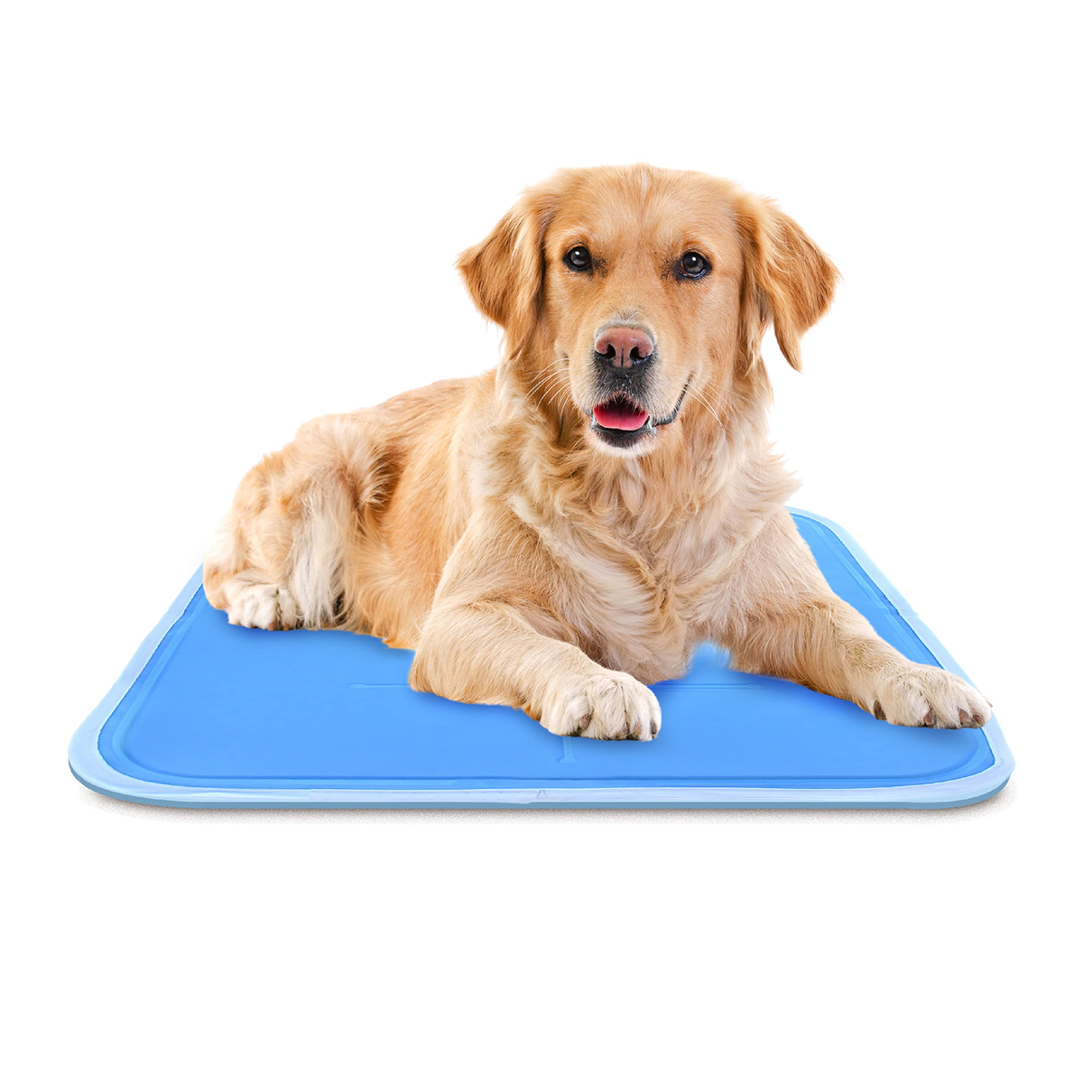 Golden retriever relaxing on the Chill Mat gel cooling pad