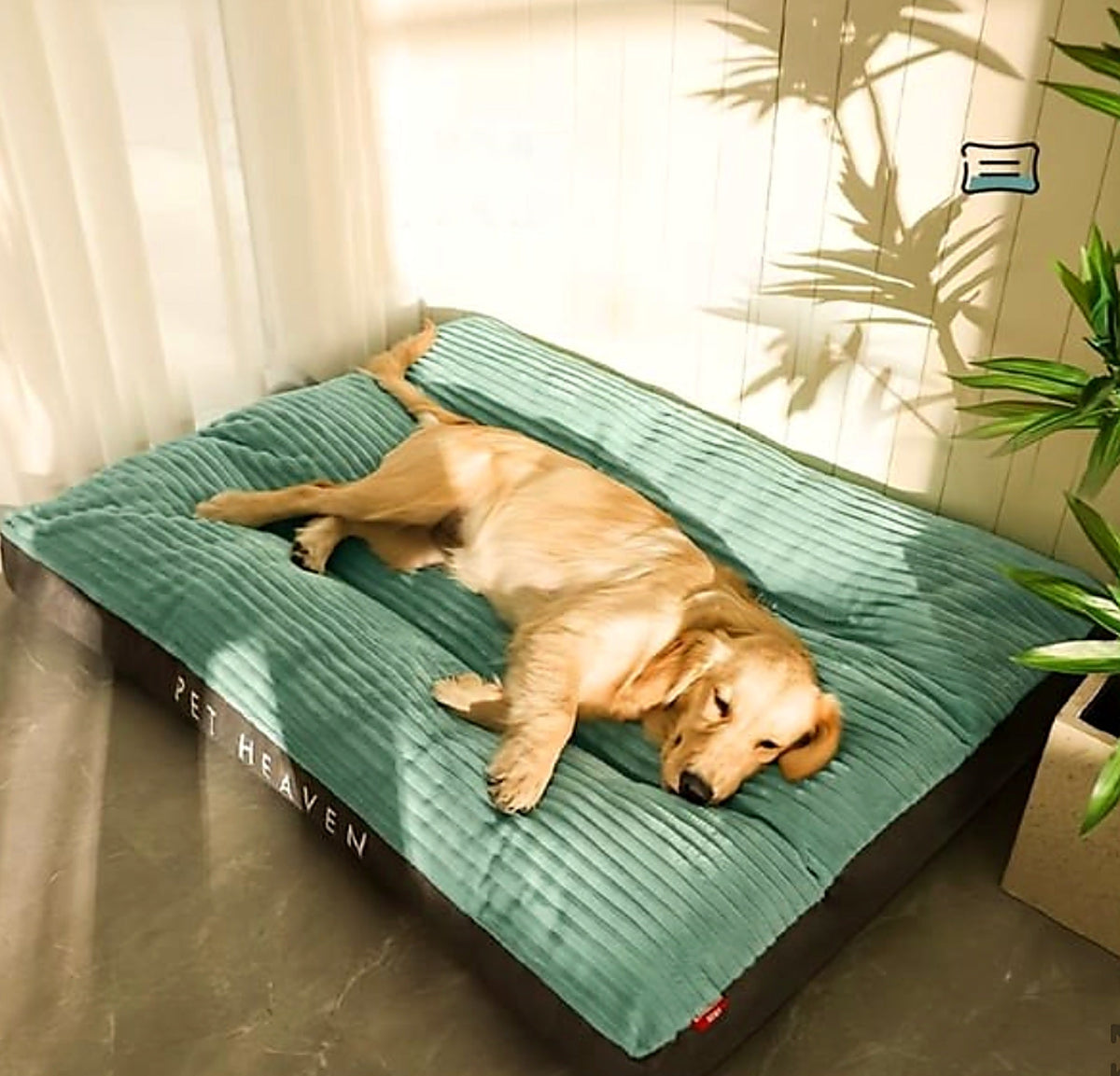 The Lounge Mat — golden retriever relaxing