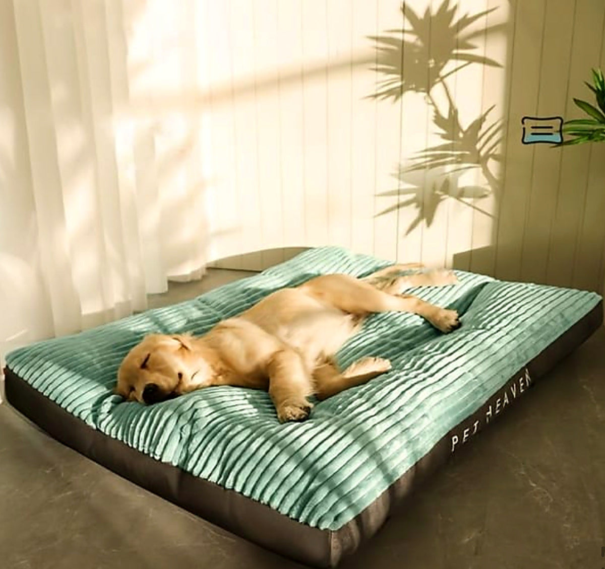 The Lounge Mat in a sunlit room